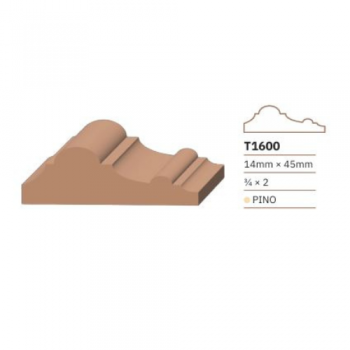 CLEAR TERMI.XTIRA 3/4 X 2 N160