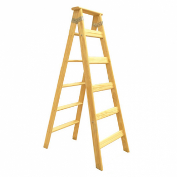 ESCALE PINT SALIGNA 5ESC