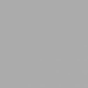 FIL MEL.X10ML 5807-ALUMINIO 22PREEN