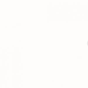 FIL MEL.X10ML 2110-EVEREST 50PREE